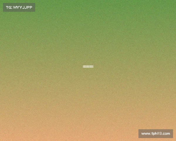 格斗比赛含金量